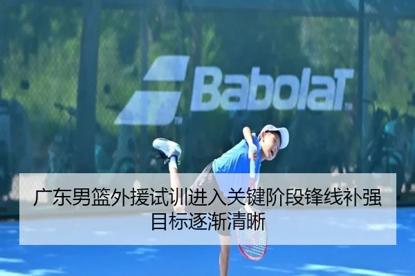 广东男篮外援试训进入关键阶段锋线补强目标逐渐清晰